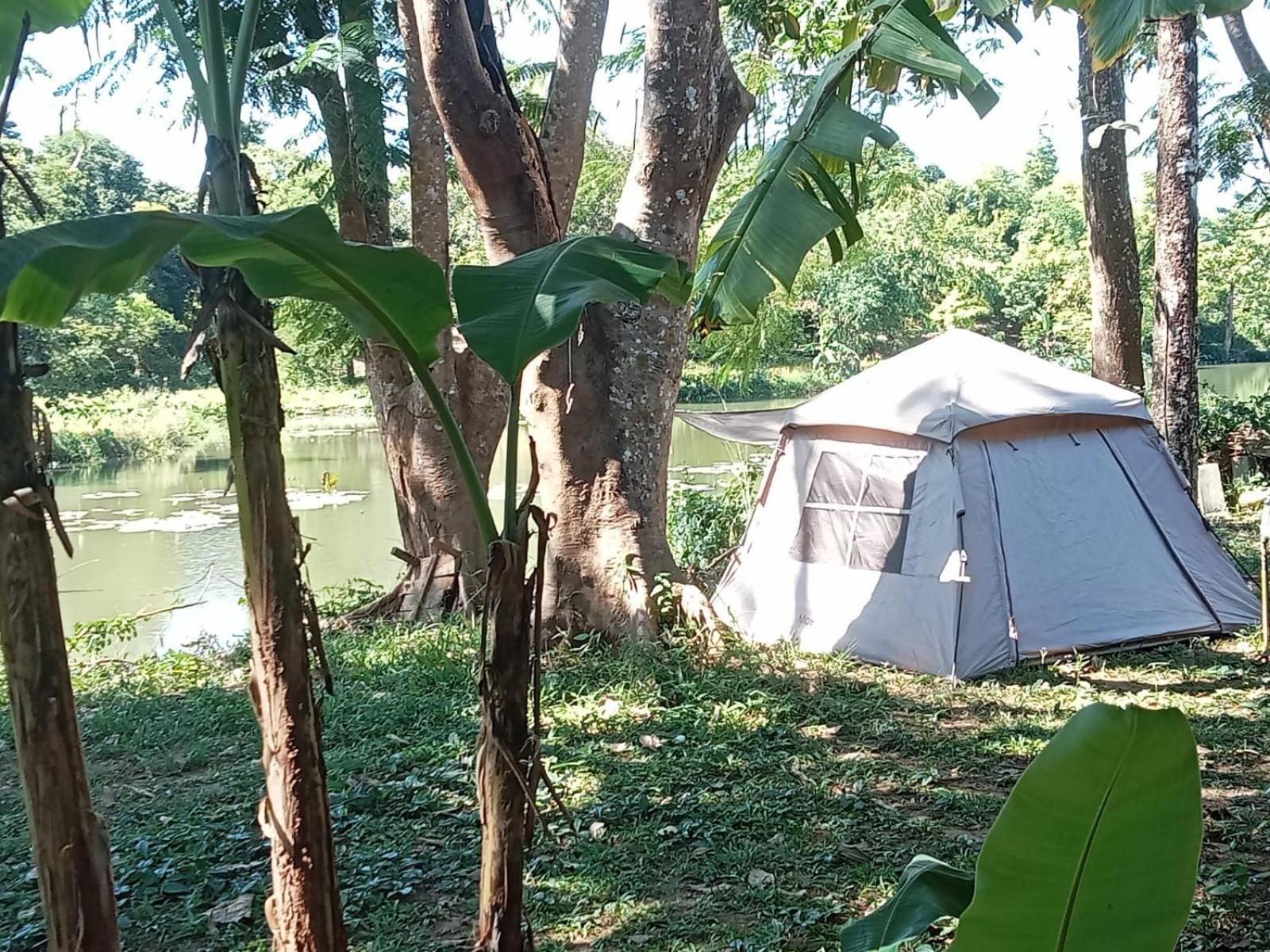Fandee Island Treehouses & Ziplines - Tad Lo, Bolaven Loop Pakse Ban Kiangtat Eksteriør bilde