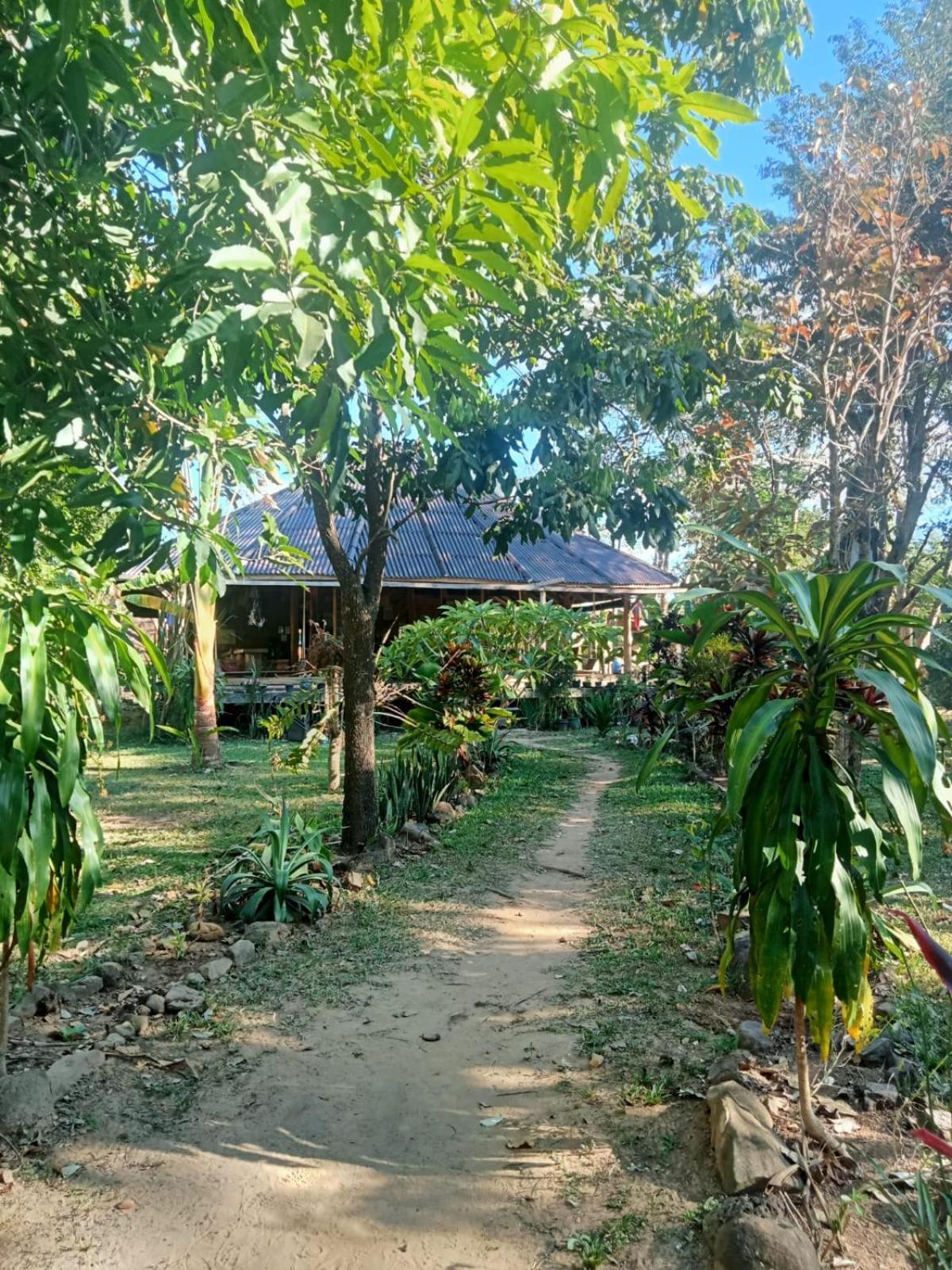Fandee Island Treehouses & Ziplines - Tad Lo, Bolaven Loop Pakse Ban Kiangtat Eksteriør bilde
